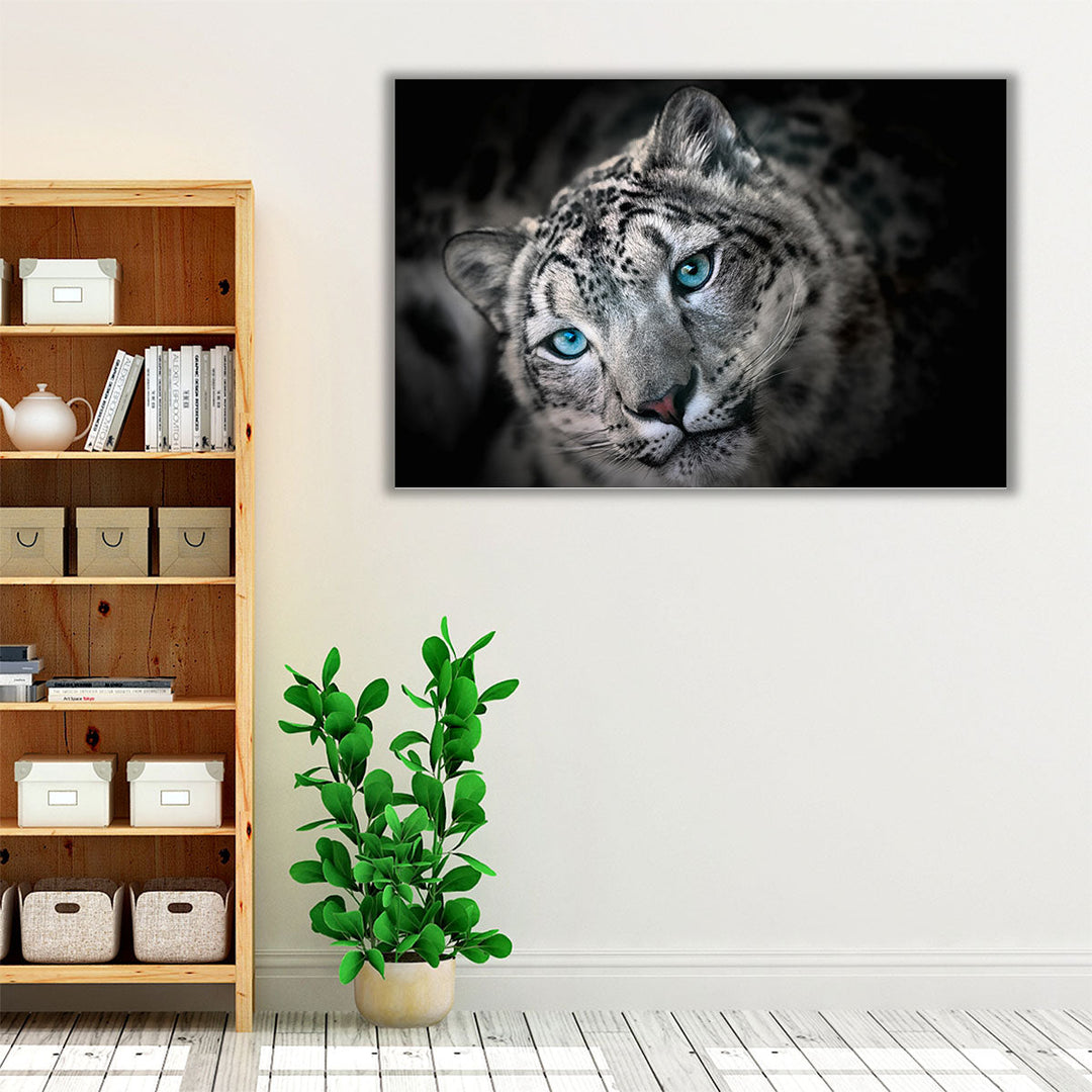 Snow leopard or Irbis Portrait - Canvas Print Wall Art