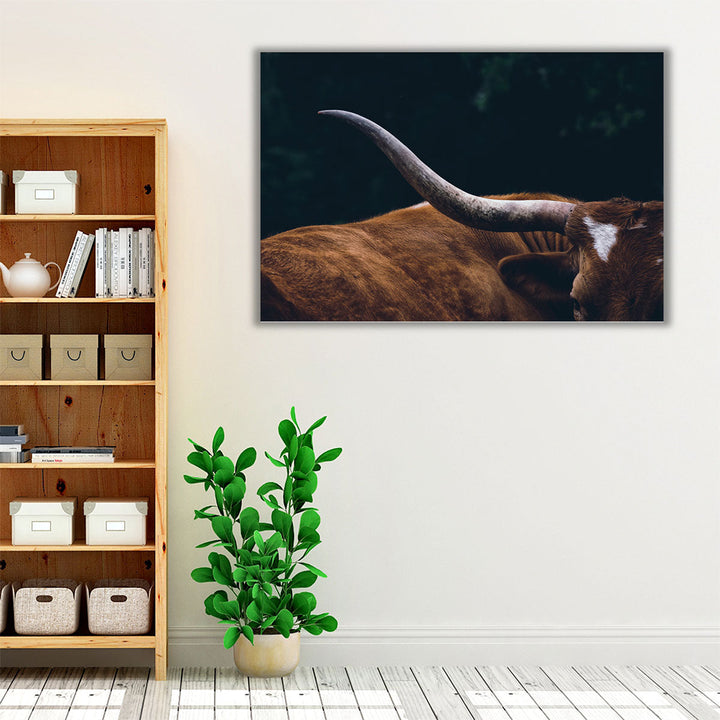 Texas Longhorn Cow Close Up - Canvas Print Wall Art