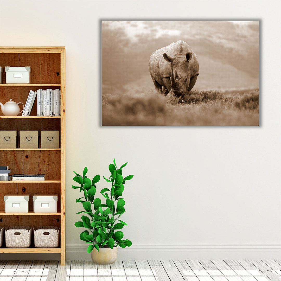 A White Rhino With Big Horns in South Africa - Canvas Print Wall Art