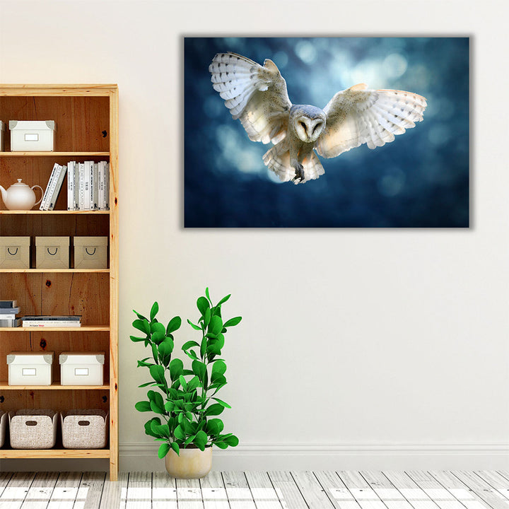 Hunting Barn Owl in Flight - A Wildlife Scene - Canvas Print Wall Art