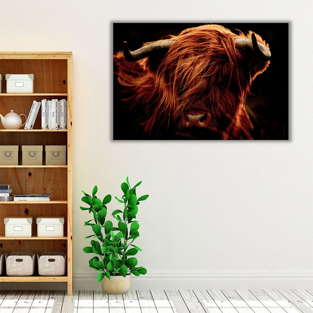 A Close-Up of Highland Cows - Canvas Print Wall Art