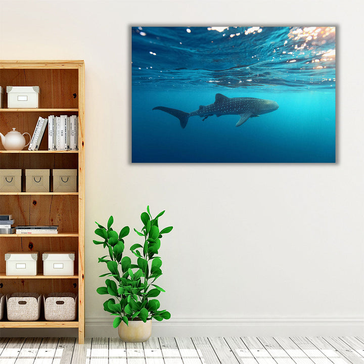 Whale Shark Swimming Near the Water Surface - Canvas Print Wall Art