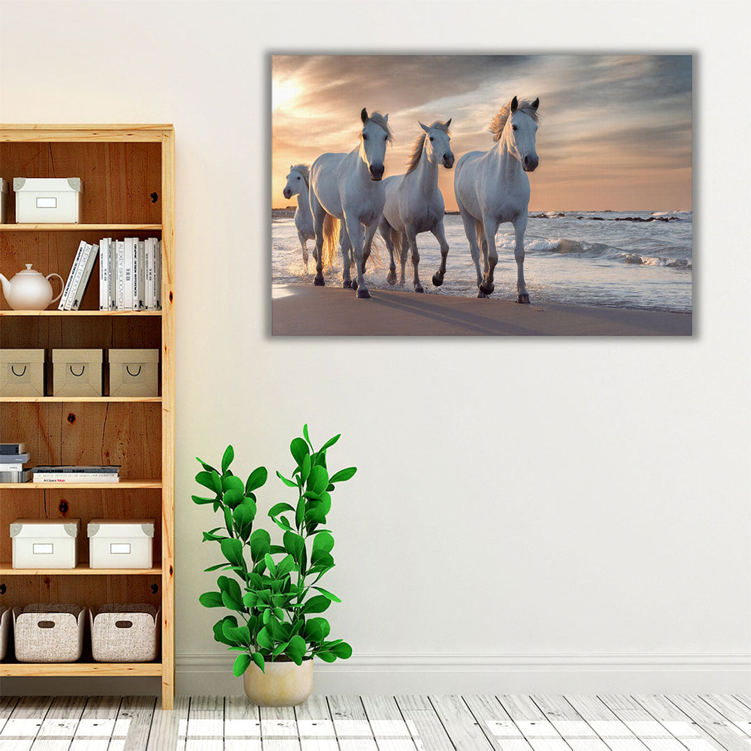 Herd of White Horses Running Through The Water - Canvas Print Wall Art