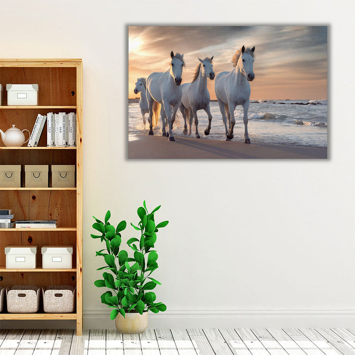 Herd of White Horses Running Through The Water - Canvas Print Wall Art