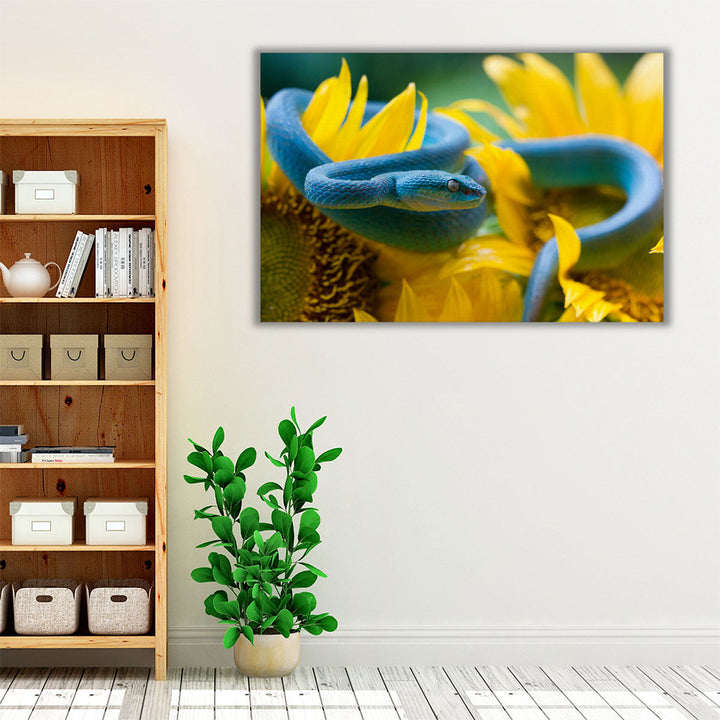 Blue Viper Snake On Sunflower - Canvas Print Wall Art