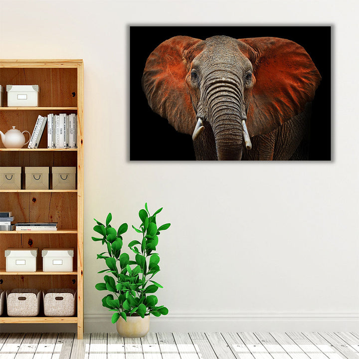 An African Elephant With Black Background - Canvas Print Wall Art