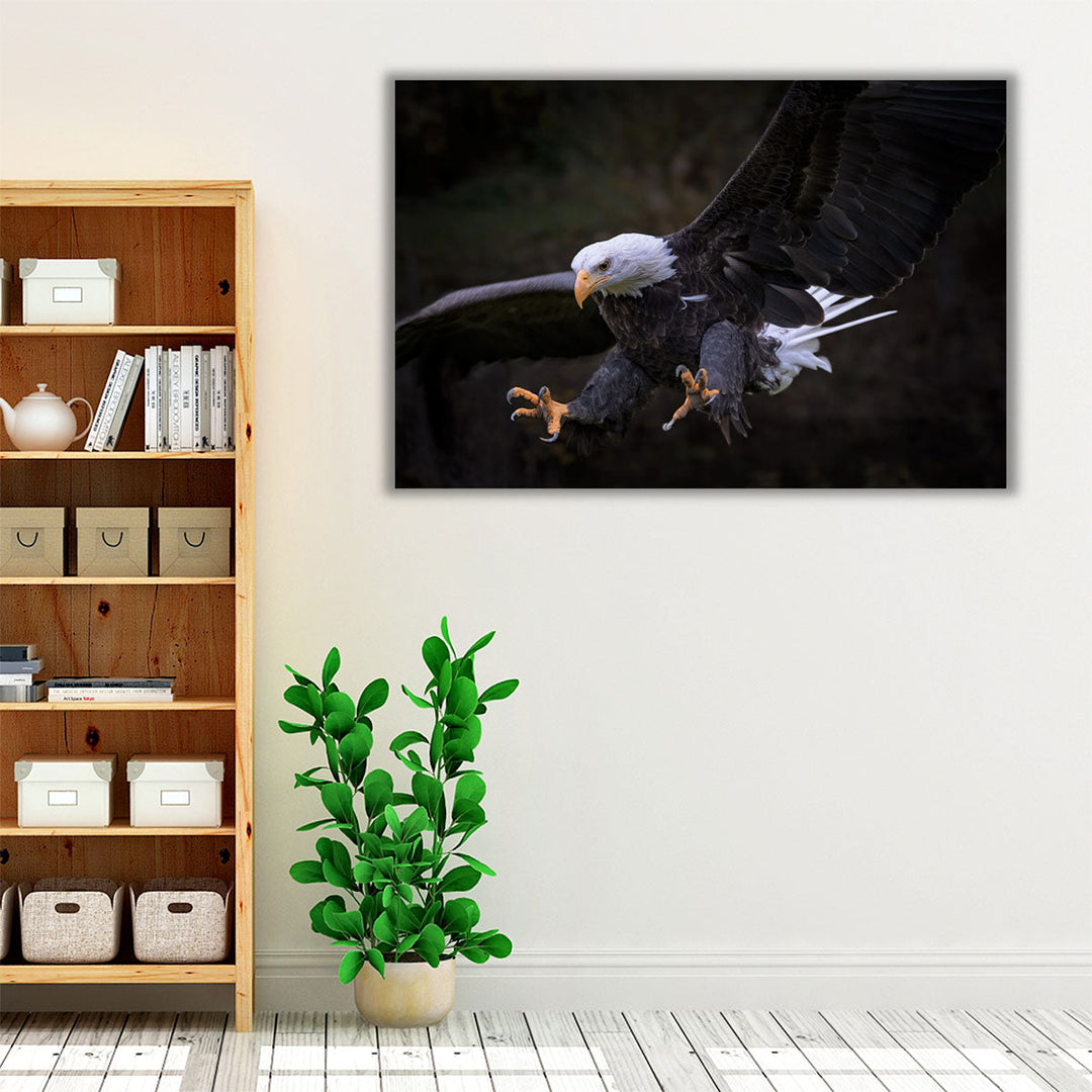 An Eagle Setting for Landing - Canvas Print Wall Art