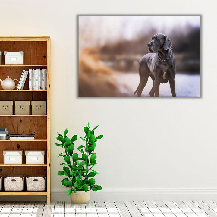 An Amazing Closeup of A Blue Great Dane - Canvas Print Wall Art