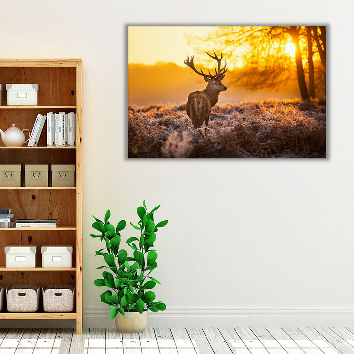 Red Deer Stag in Forest During Sunrise - Canvas Print Wall Art