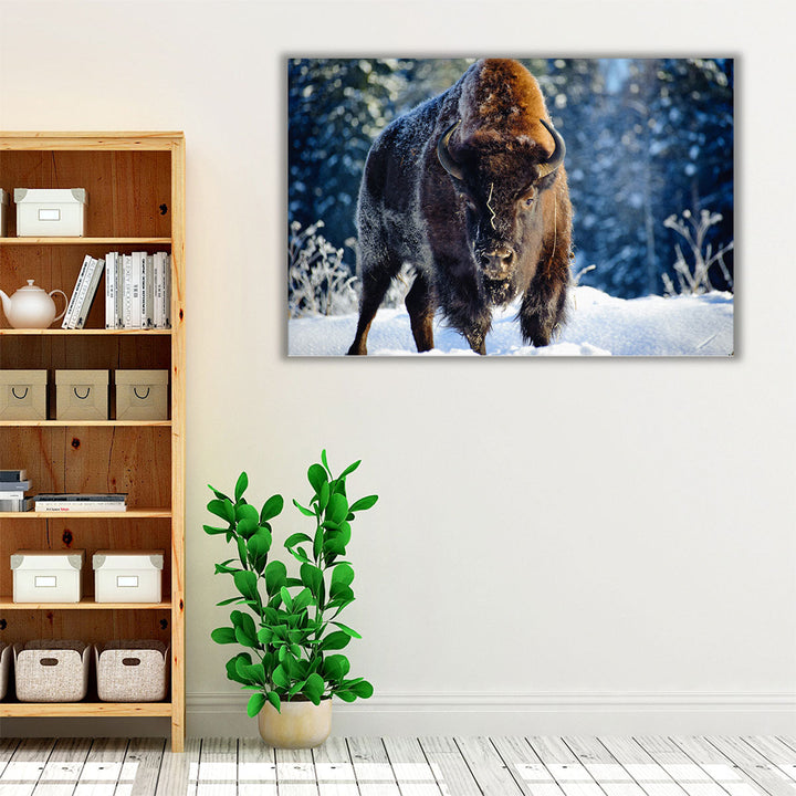 Aurochs, Bison in the Wild in Winter - Canvas Print Wall Art