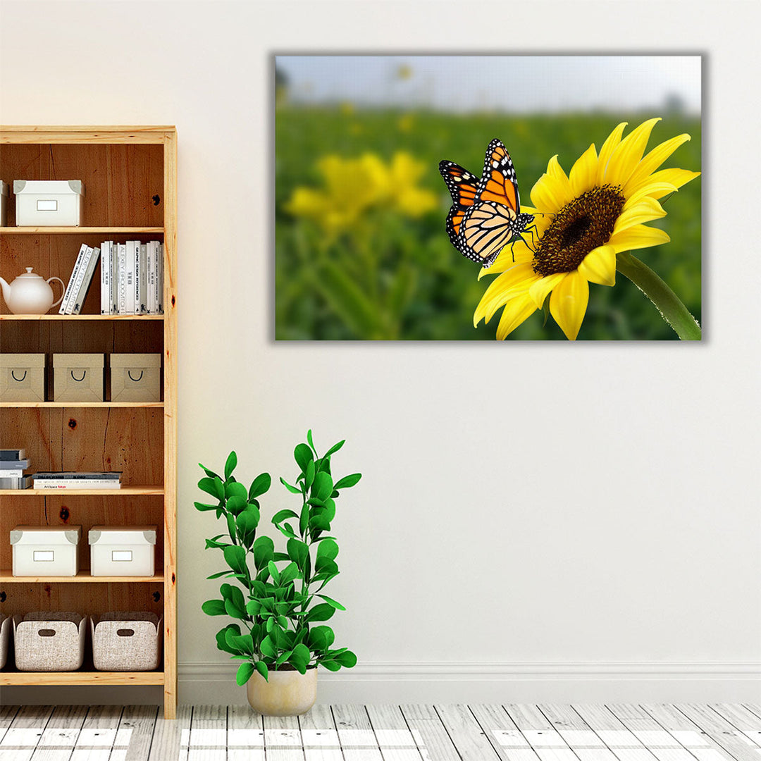 Butterfly on Sunflower - Canvas Print Wall Art