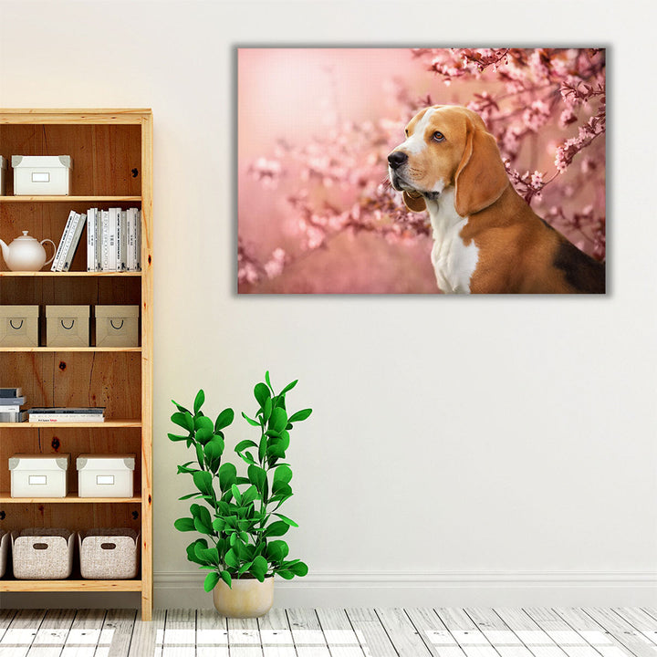 Beagle Dog Portrait in Spring Sakura Cherry Blossom Tree - Canvas Print Wall Art