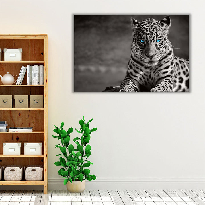 Black and White Jaguar With Blue Eyes - Canvas Print Wall Art