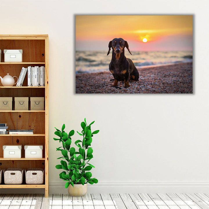 Dachshund on the Beach During Sunset - Canvas Print Wall Art