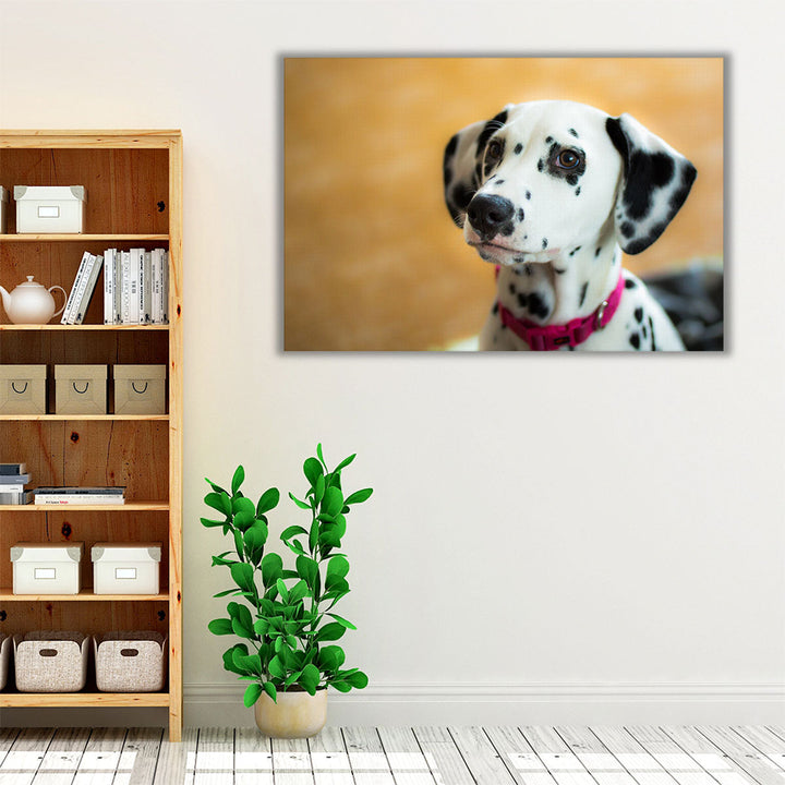 Dalmatian Aida Puppy's Closeup - Canvas Print Wall Art