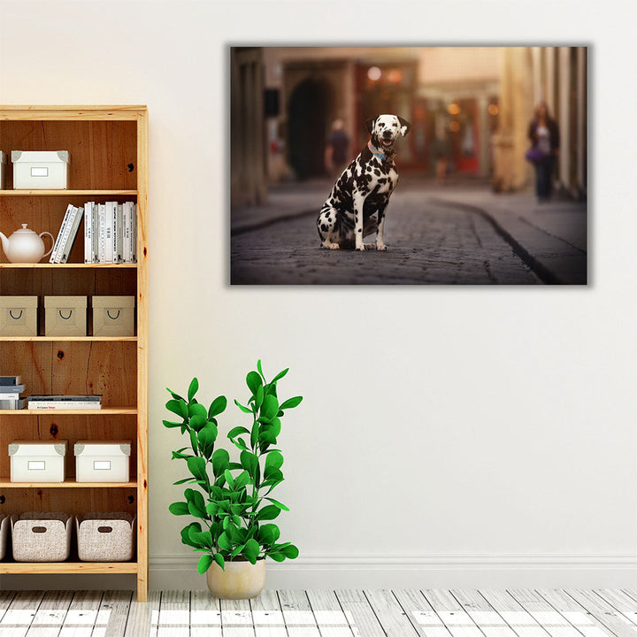 Dalmation Dog Sitting in a City - Canvas Print Wall Art