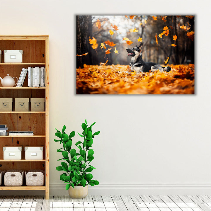 East European Shepherd, Falling Leaves in Autumn - Canvas Print Wall Art