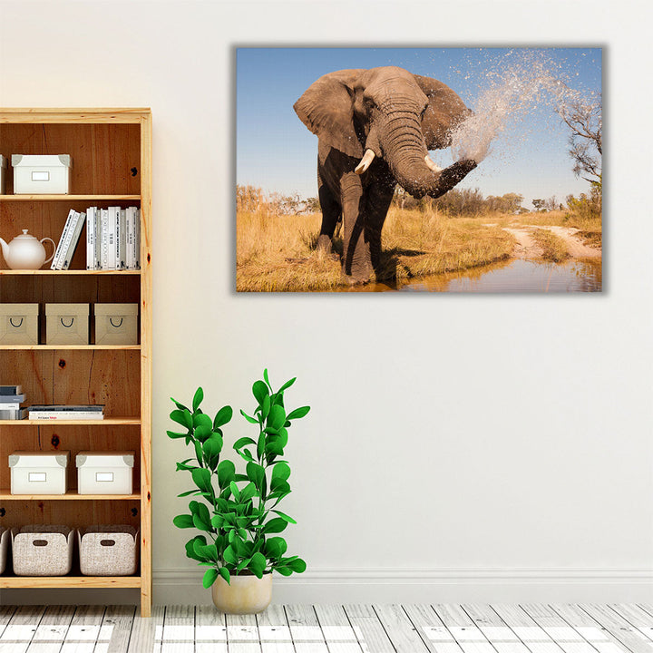 Elephant Spraying Water with his Trunk - Canvas Print Wall Art