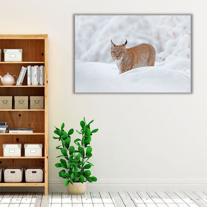 Eurasian Lynx in a Snowy Forest - Canvas Print Wall Art