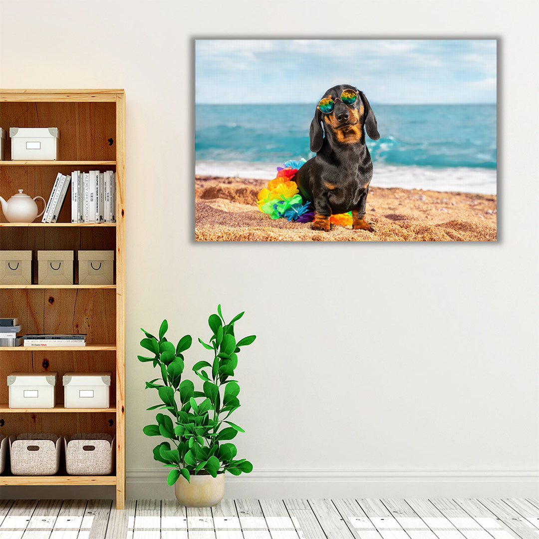 Funny Dachshund Puppy in its Style Sitting On a Beach - Canvas Print Wall Art