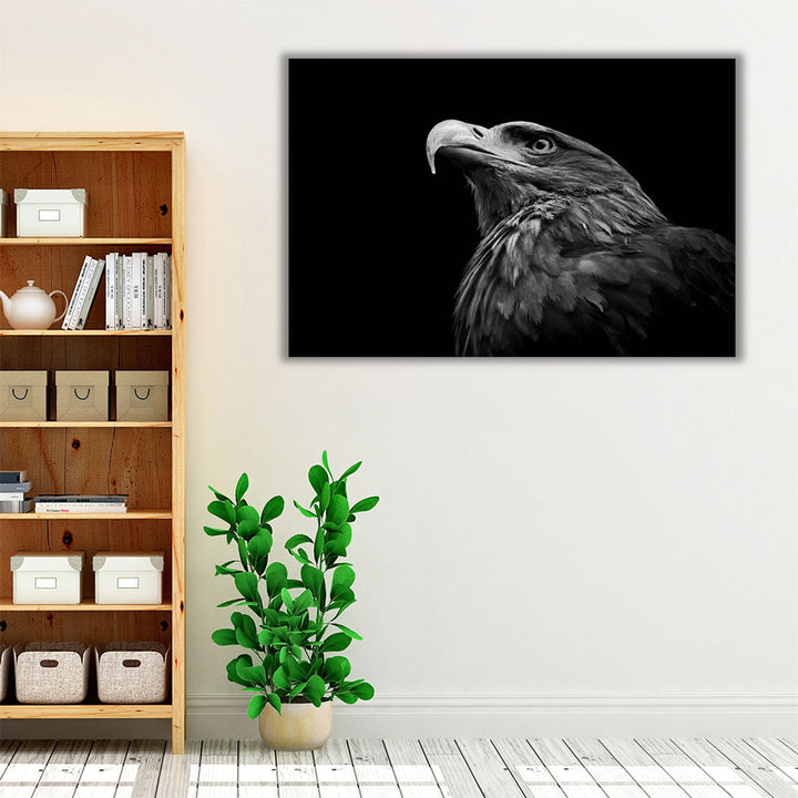 Golden Eagle or Aquila Chrysaetos Isolated on Black Background - Canvas Print Wall Art