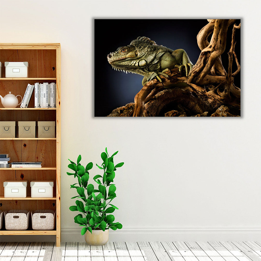 Iguana Lizard on a Tree Branch, Reptile Photography - Canvas Print Wall Art