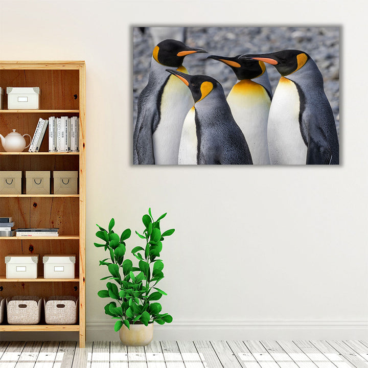 King Penguins at Fortuna Bay South Georgia - Canvas Print Wall Art