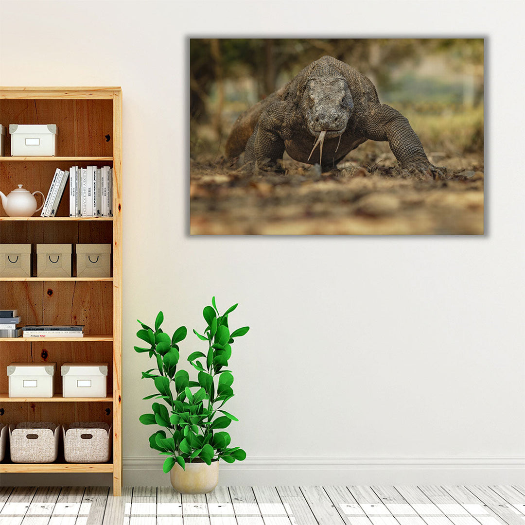 Komodo Dragon in the Beautiful Nature Habitat - Canvas Print Wall Art