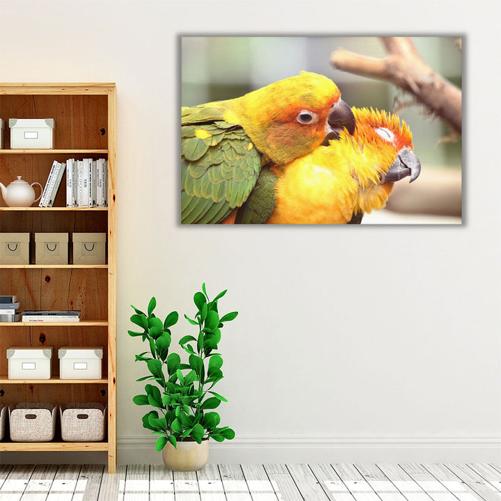 Lovely Parrots Couple - Canvas Print Wall Art