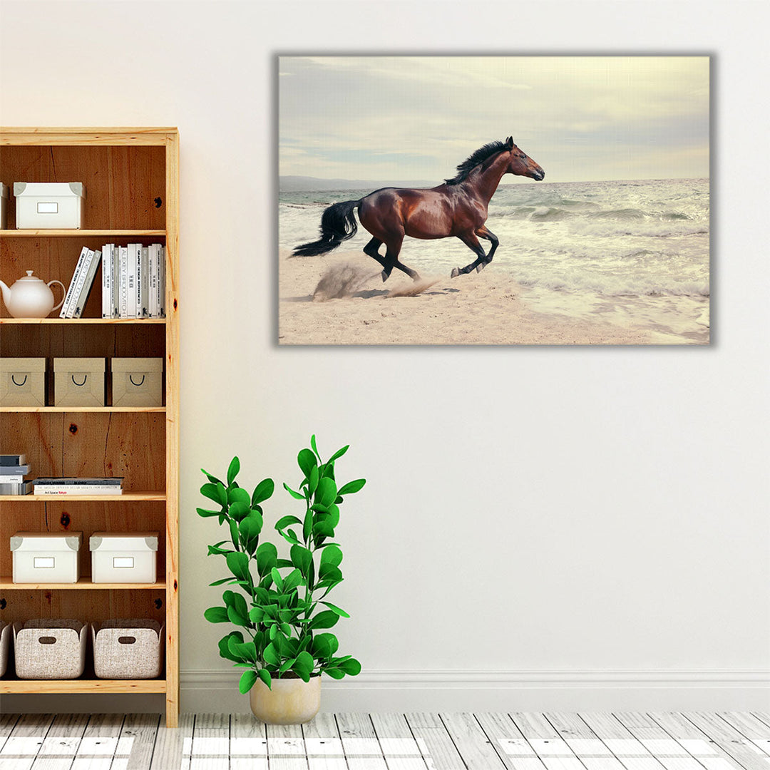 Marine Landscape With Beautiful Bay Horse - Canvas Print Wall Art