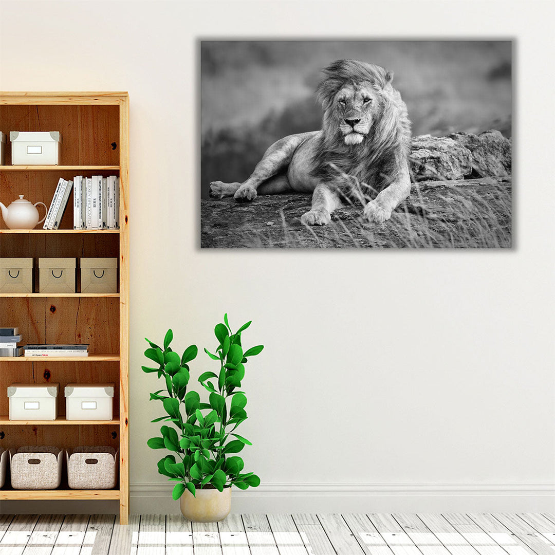 Mighty Lion in the African Savannah - Canvas Print Wall Art