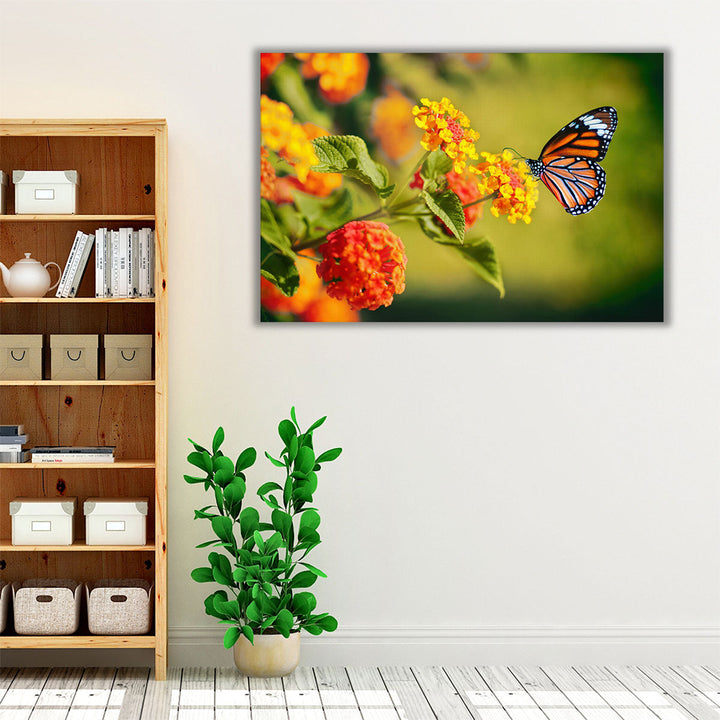 Monarch Butterfly on Lantana Flower - Canvas Print Wall Art