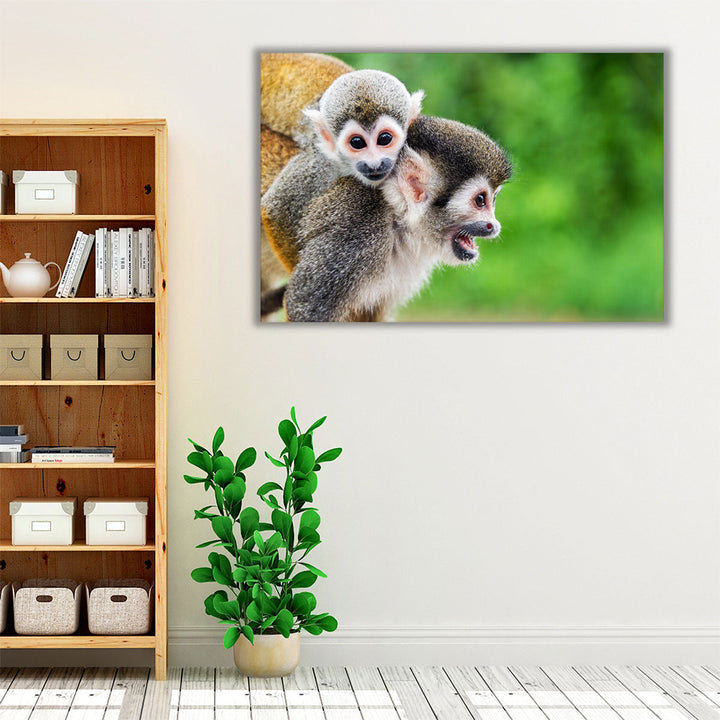 Mother Squirrel Monkey With her Child - Canvas Print Wall Art