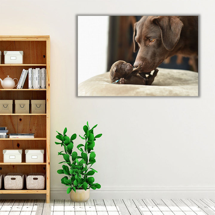 Newborn Labrador Retriever Baby and Mother - Canvas Print Wall Art