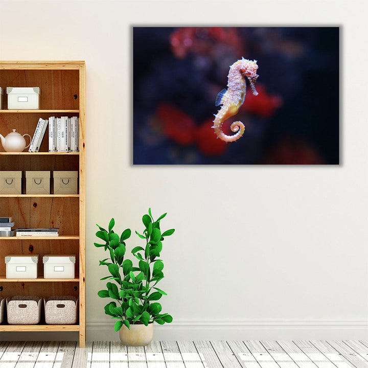 Seahorse or Hippocampus Swimming - Canvas Print Wall Art