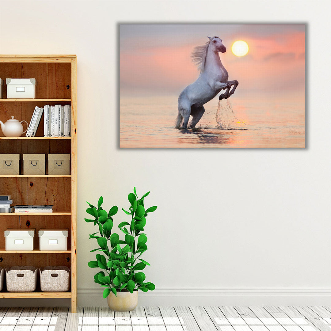 White Stallion Rearing Up with Splash in Water at Sunrise - Canvas Print Wall Art