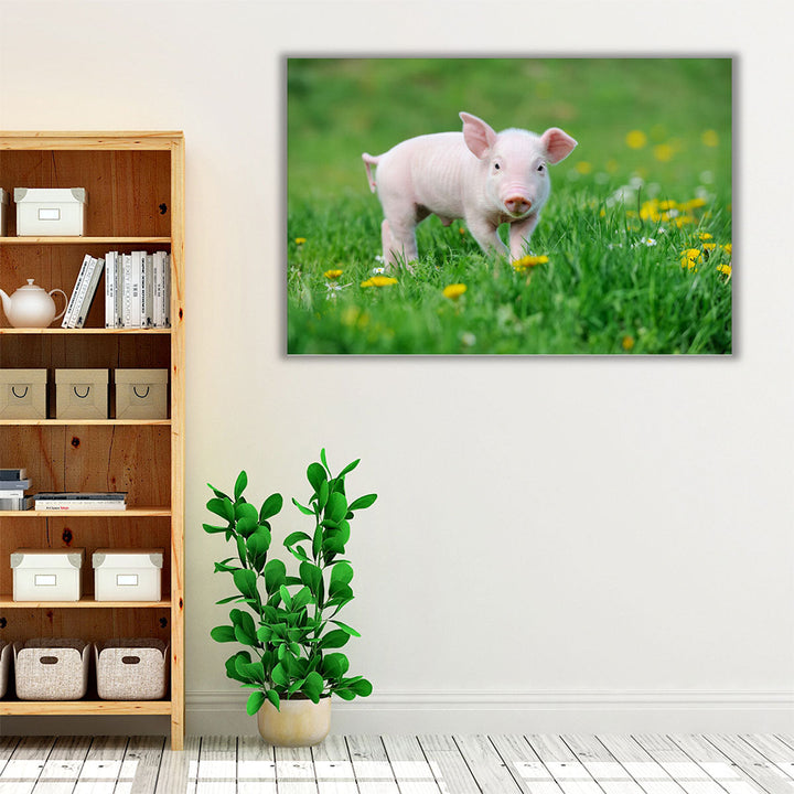 Young Pig on a Spring Green Grass - Canvas Print Wall Art