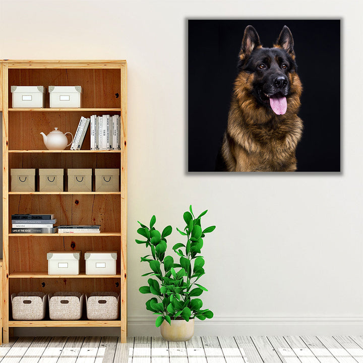 German Shepherd's Close-up With a Black Background - Canvas Print Wall Art