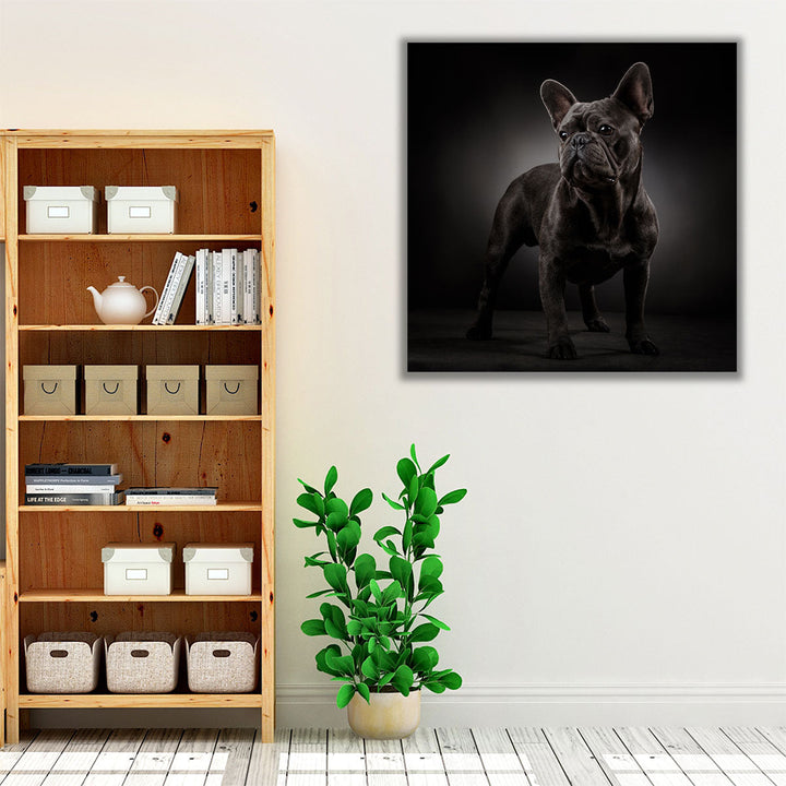 Portrait of a French Bulldog - Canvas Print Wall Art