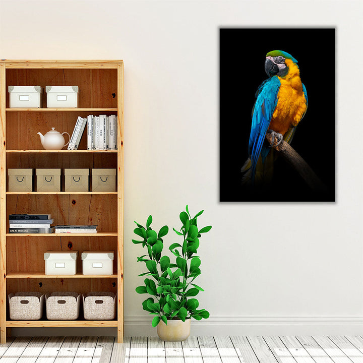 Parrot Close-up On a Black Background - Canvas Print Wall Art