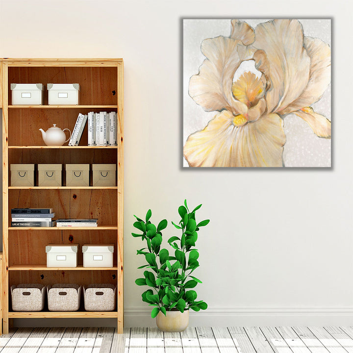 Iris Cream I - Canvas Print Wall Art