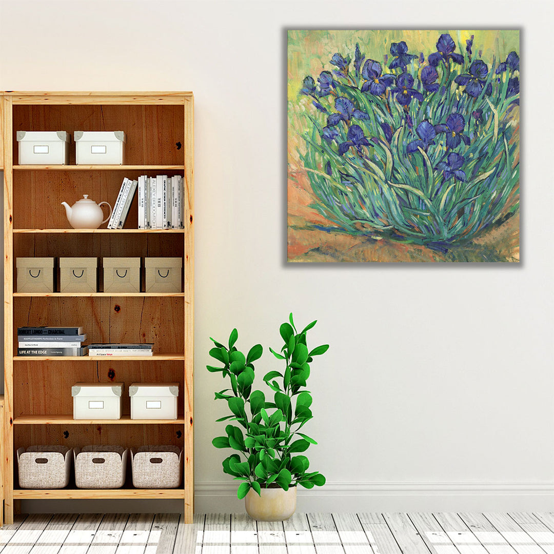 Irises in Bloom I - Canvas Print Wall Art