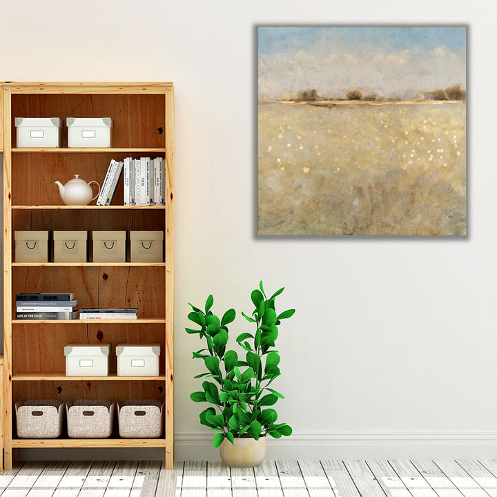 Meadow Plane I - Canvas Print Wall Art