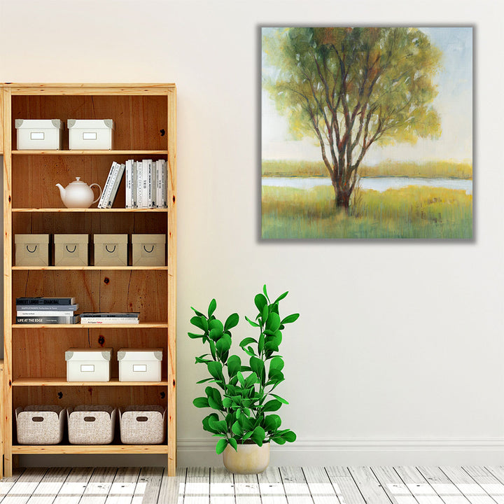 Shade Tree I - Canvas Print Wall Art