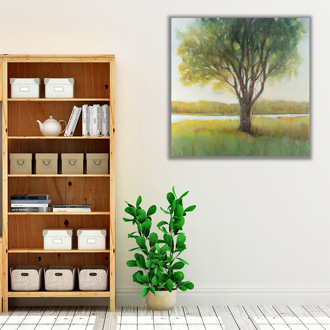 Shade Tree II - Canvas Print Wall Art