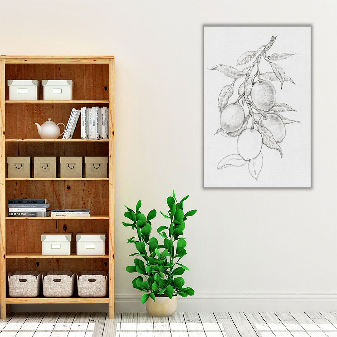 Fruit-Bearing Branch I - Canvas Print Wall Art