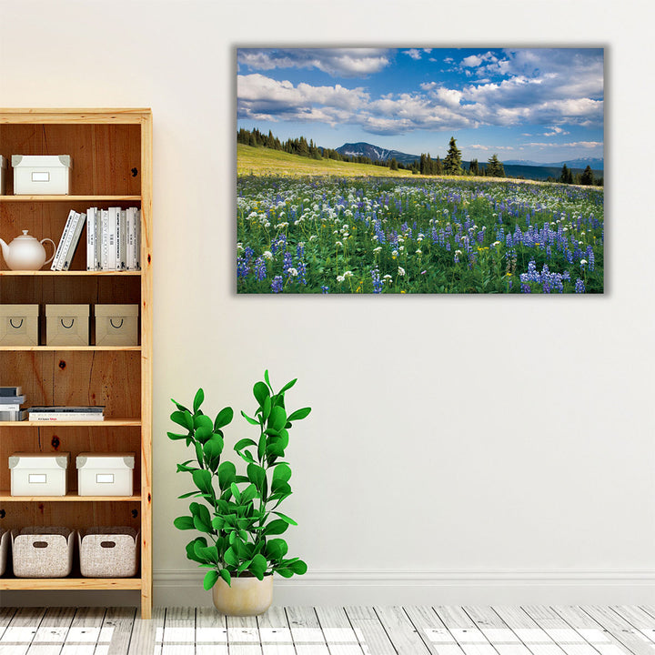 Trophy Meadows - Canvas Print Wall Art