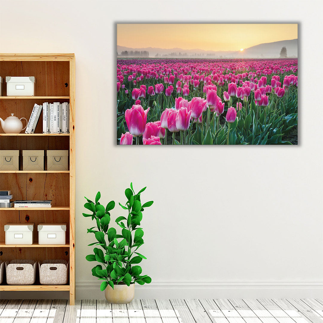 Skagit Valley Tulips I - Canvas Print Wall Art