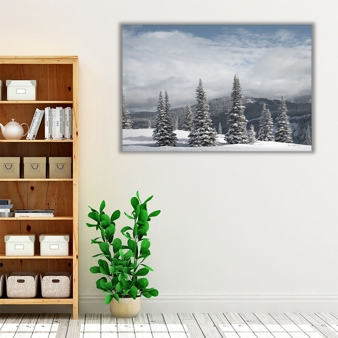 North Cascades in Winter II - Canvas Print Wall Art