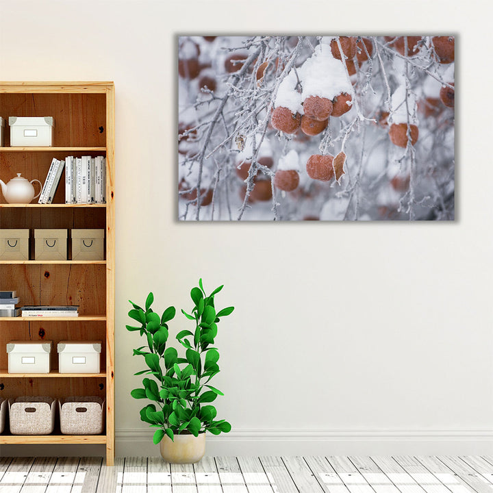 Orchard in Winter - Canvas Print Wall Art